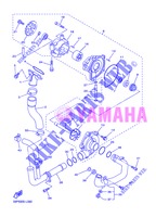 BOMBA DE AGUA / MANGUERAS para Yamaha FZ8N 2013