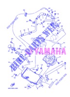 RADIADOR / MANGUERAS para Yamaha XP500 2013