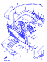 RADIADOR / MANGUERAS para Yamaha YZF750SP 1993