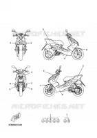 PEGATINA para Yamaha YQ50 2009