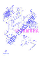 RADIADOR / MANGUERAS para Yamaha MBK OVETTO 50 4 TEMPS 2012
