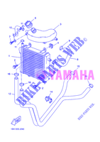 RADIADOR / MANGUERAS para Yamaha YQ50 2012