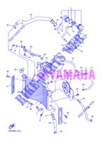 RADIADOR / MANGUERAS para Yamaha FZ8S 2013