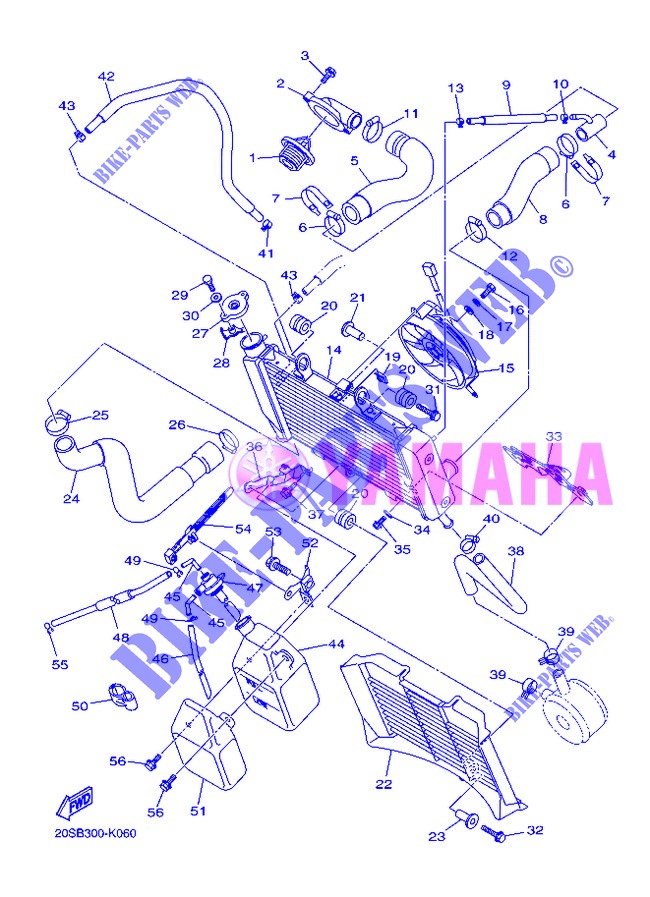 RADIADOR / MANGUERAS para Yamaha XJ6N 2013