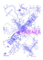 RADIADOR / MANGUERAS para Yamaha XJ6NA 2013