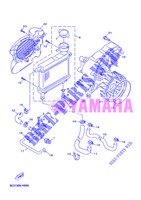 RADIADOR / MANGUERAS para Yamaha YN50F 2013