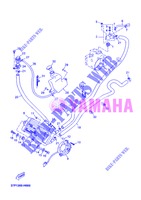 RADIADOR / MANGUERAS para Yamaha YP250RA 2013