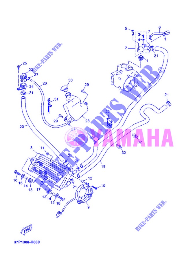 RADIADOR / MANGUERAS para Yamaha YP250RA 2013