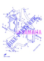 RADIADOR / MANGUERAS para Yamaha YZ450F 2013