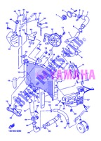 RADIADOR / MANGUERAS para Yamaha YZF-R6 2013
