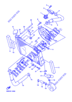 RADIADOR / MANGUERAS para Yamaha YZF-R6 1999