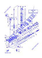 TAPA INFERIOR Y TRANSMISIÓN 1 para Yamaha E60H Enduro, Manual Starter, Tiller Handle, Hydro Trim & Tilt, Pre-Mixing, Shaft 15