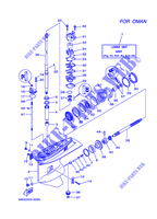 TAPA INFERIOR Y TRANSMISIÓN 2 para Yamaha E60H Enduro, Manual Starter, Tiller Handle, Hydro Trim & Tilt, Pre-Mixing, Shaft 20