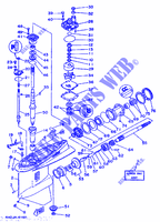 TAPA INFERIOR Y TRANSMISIÓN (150/175/200) para Yamaha 175D 2 Stroke, Electric Starter, Remote Control, Power Trim & Tilt 1996