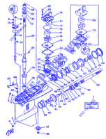 TAPA INFERIOR Y TRANSMISIÓN 1 para Yamaha 225A Electric Start, Power Trim & Tilt, Oil injection 1987