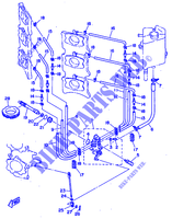 BOMBA DE OLIO para Yamaha SL250A Saltwater, Left Hand, Electric Start, Power Trim & Tilt, Remote Control, Oil injection 1997