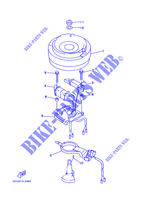 ALTA para Yamaha 9.9F Manual Starter, Tiller Handle, Manual Tilt, Pre-Mixing, Shaft 15