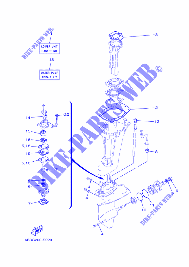 KIT DE REPARACIÓN 2 para Yamaha E15D Enduro, Manual Starter, Tiller Handle, Manual Tilt, Pre-Mixing, Shaft 20