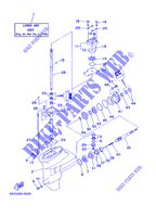 TAPA Y TRANSMISIÓN DE HELICES 1 para Yamaha 15F 2 Stroke, Manual Starter, Tiller Handle, Manual Tilt, Pre-Mixing 2001