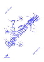 CIGUEÑAL / PISTÓN para Yamaha F6A Manual Starter, Tiller Handle, Manual Tilt, Shaft 15
