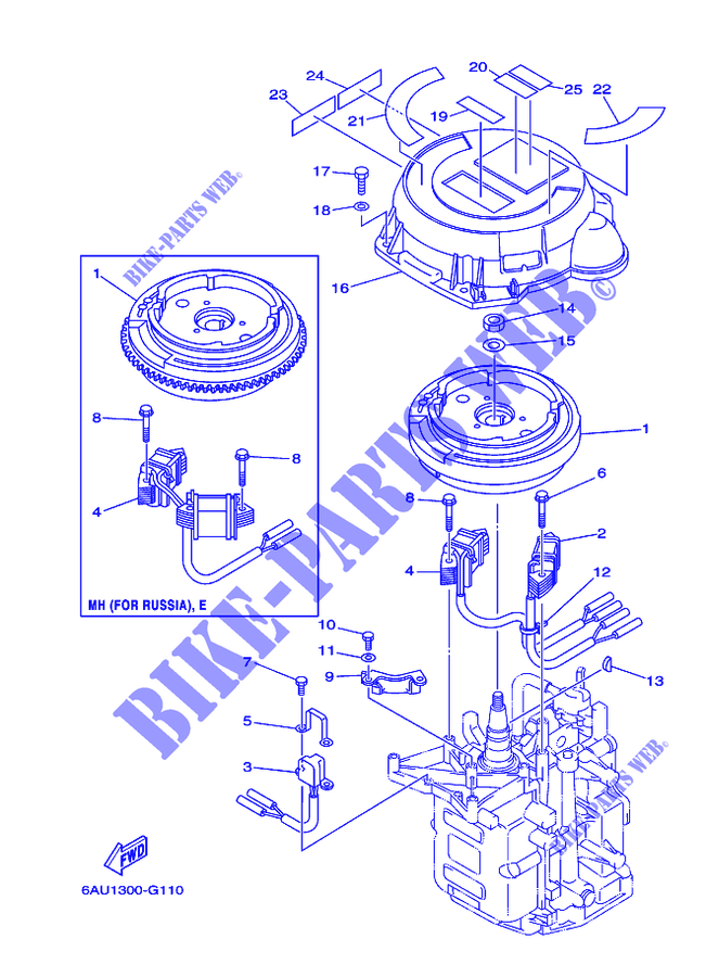 GENERADOR para Yamaha F9.9F Electric Starter, Remote Control, Manual Tilt, Shaft 15