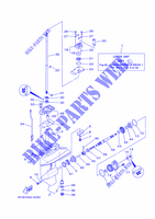 TAPA INFERIOR Y TRANSMISIÓN 1 para Yamaha F9.9J Manual Starter, Tiller Handle, Manual Tilt, Shaft 15
