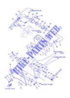 RADIADOR / MANGUERAS para Yamaha TDM850 2000