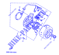 ALTA para Yamaha TDR125 1991