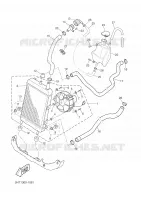 RADIADOR / MANGUERAS para Yamaha XQ150 2001