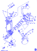 RADIADOR / MANGUERAS para Yamaha DT125R 1990